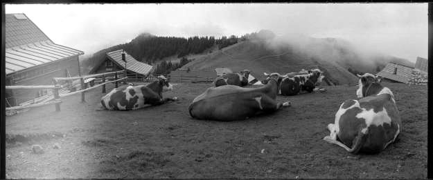 no name by pavel cuzuioc